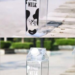 Botella de Leche 1L