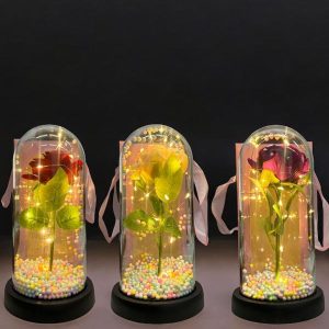 Rosa en Capsula con Luz